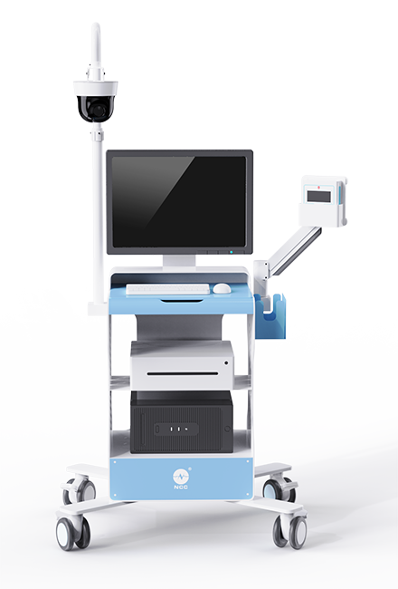 Eletroencefalografia Holter Tipo F (EEG)