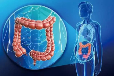 Monitoramento do nervo autonômico pélvico durante cirurgia de câncer retal